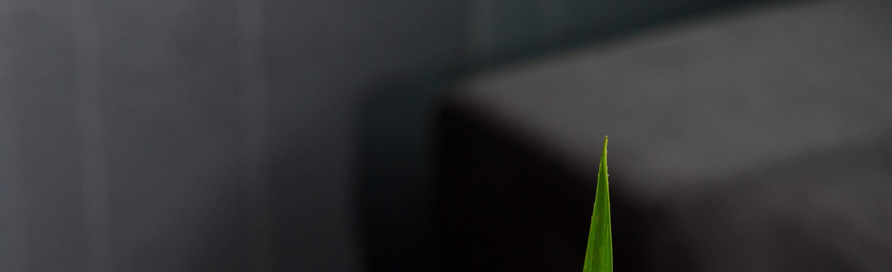 [Penawaran Bersantap di Hotel] Paket Hotel Shenzhen Qianhai JEN\Teh Sore